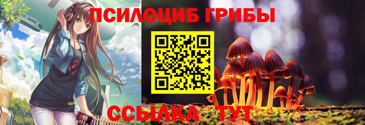 Галлюциногенные грибы мицелий Сунжа